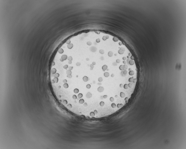 X0000112730837200910011155