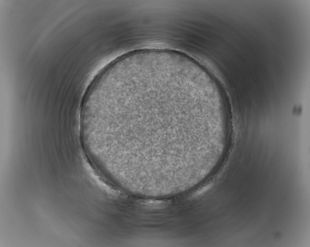 X0000112730839200910011155