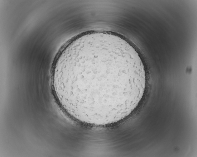 X0000112730840200910011155