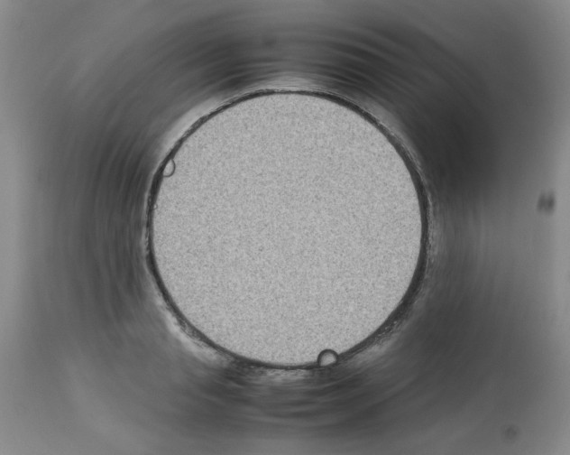 X0000112730845200910011155