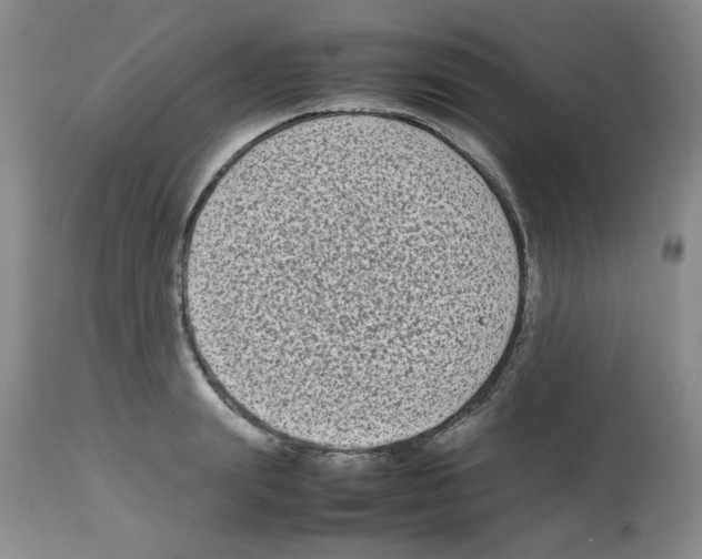 X0000112730847200910011155