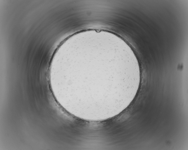 X0000112730848200910011155