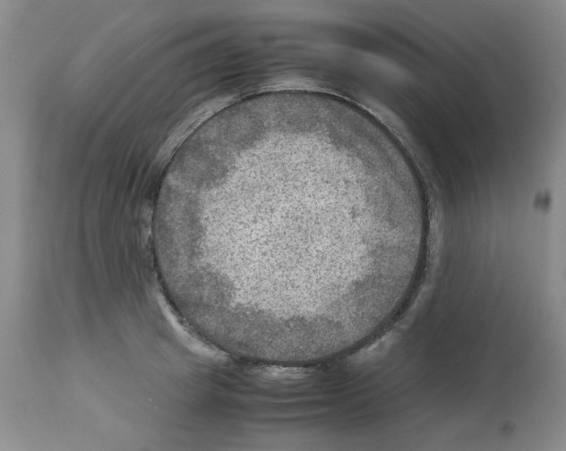 X0000112730849200910011155