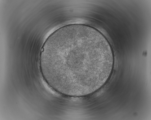 X0000112730850200910011155