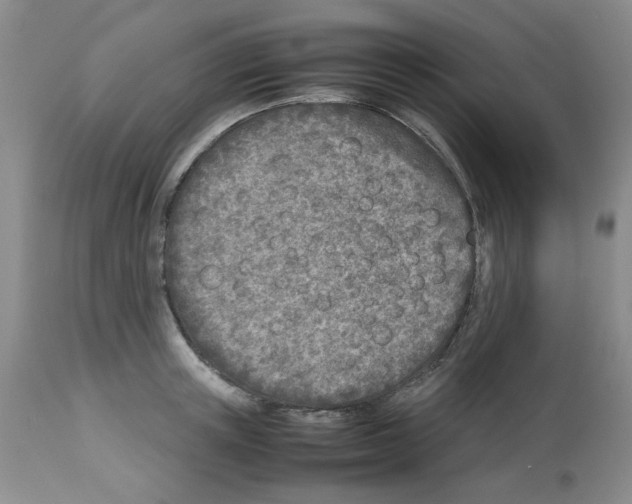 X0000112730851200910011155