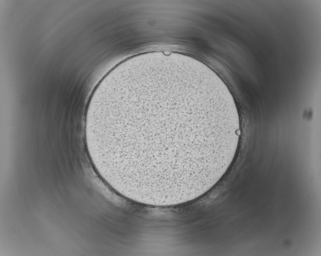 X0000112730852200910011155
