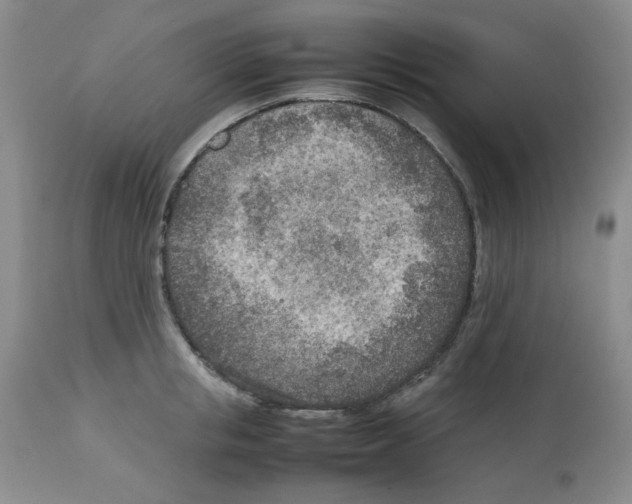 X0000112730853200910011155