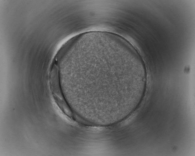 X0000112730854200910011155