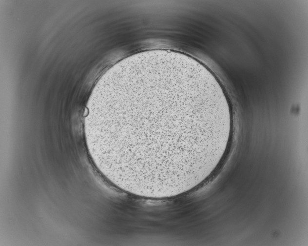 X0000112730857200910011155