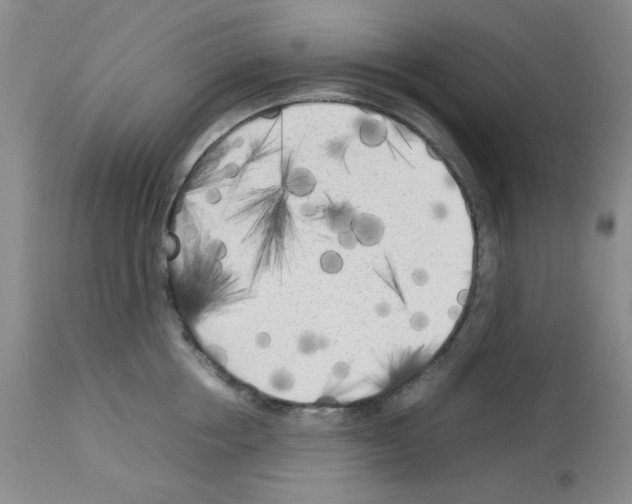 X0000112730858200910011155
