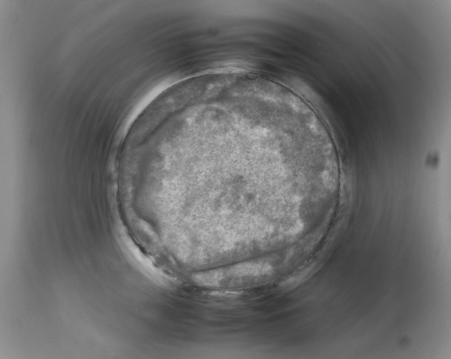 X0000112730859200910011155