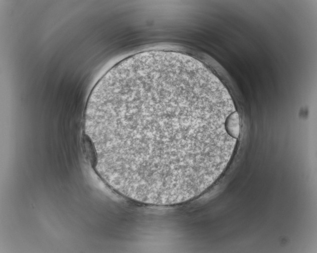 X0000112730860200910011155