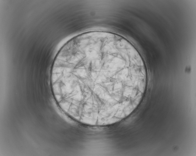 X0000112730862200910011155