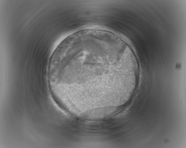 X0000112730863200910011155