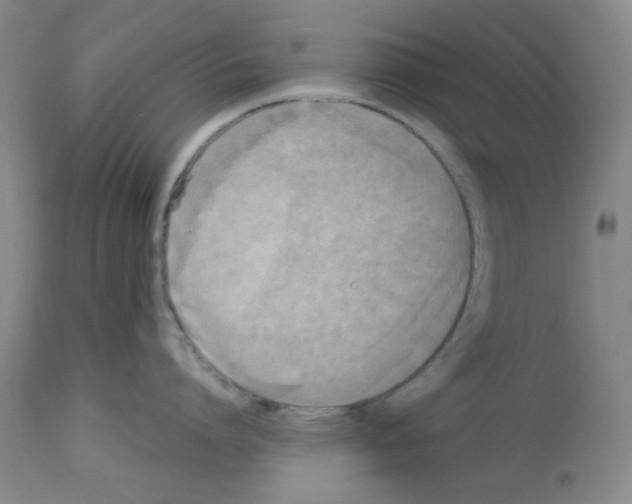 X0000112730864200910011155