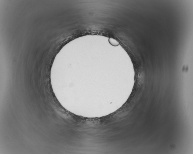 X0000112730865200910011154