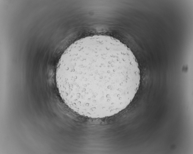 X0000112730866200910011154