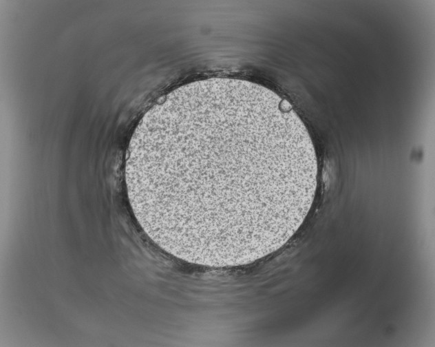 X0000112730867200910011154