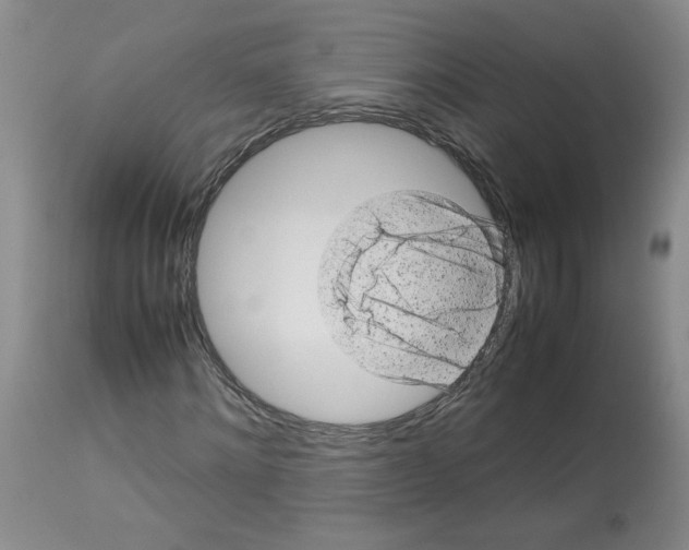 X0000112730868200910011154