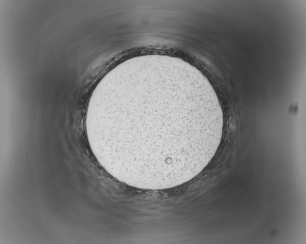 X0000112730869200910011154