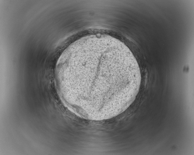 X0000112730870200910011154