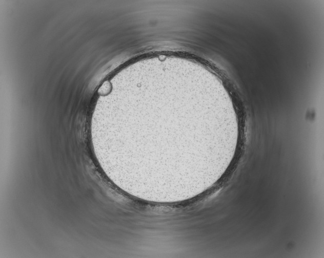 X0000112730873200910011154