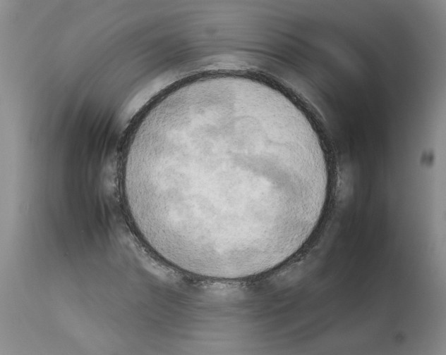 X0000112730874200910011154