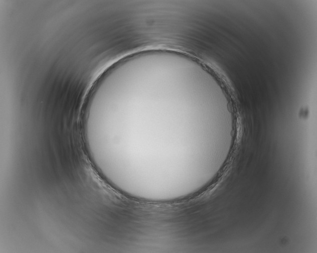 X0000112730876200910011154
