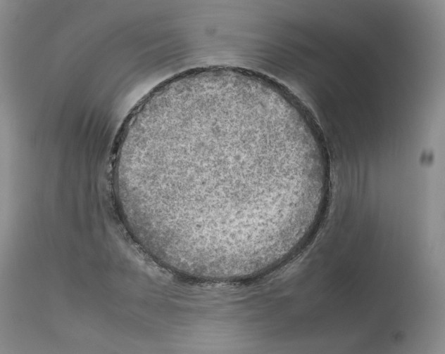 X0000112730879200910011154