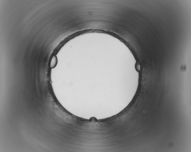 X0000112730880200910011154