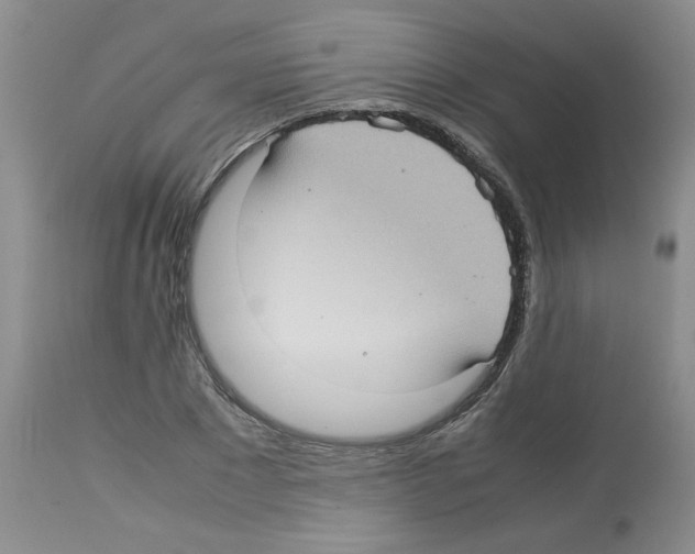 X0000112730881200910011154