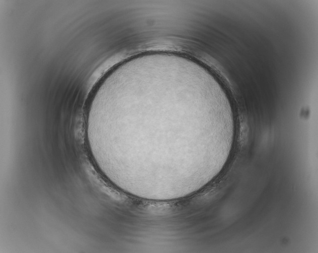 X0000112730882200910011154