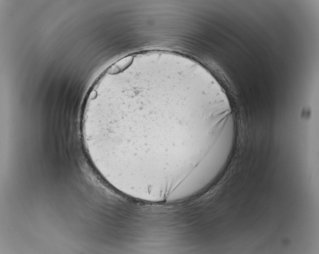 X0000112730884200910011154