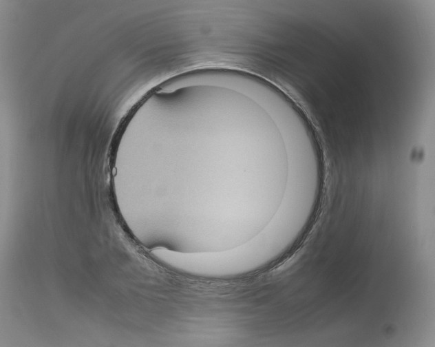 X0000112730885200910011154