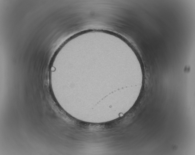 X0000112730887200910011154