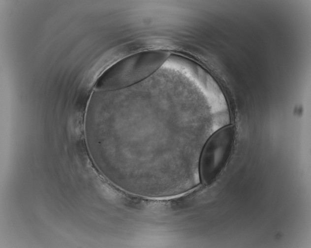 X0000112730889200910011154