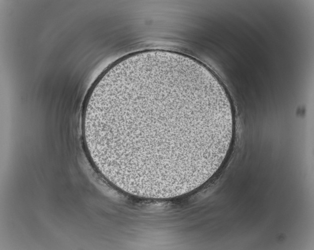 X0000112730891200910011154