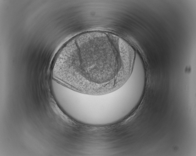 X0000112730892200910011154