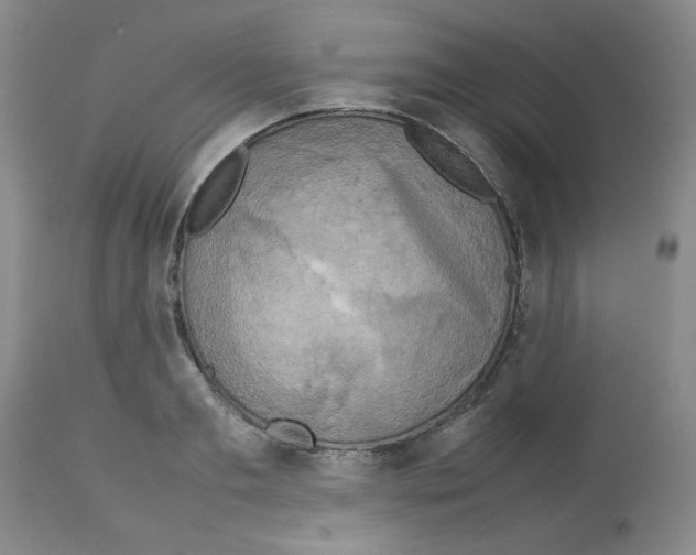 X0000112730893200910011154