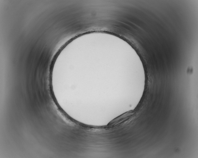 X0000112730894200910011154