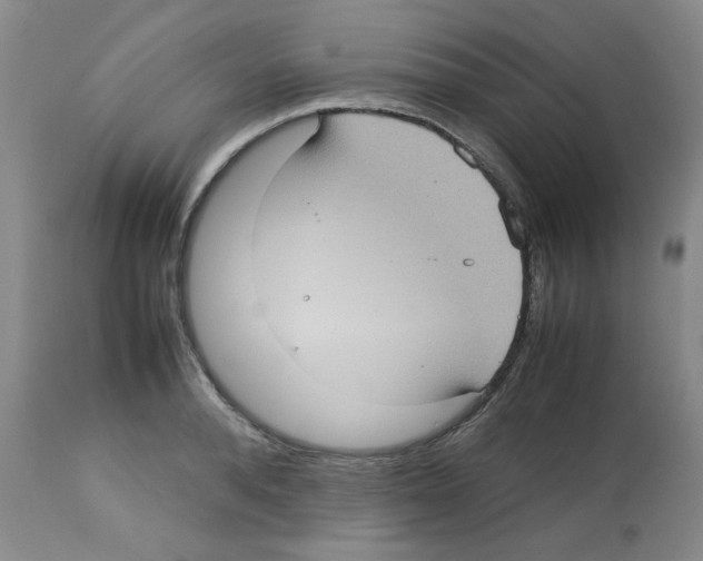 X0000112730896200910011154
