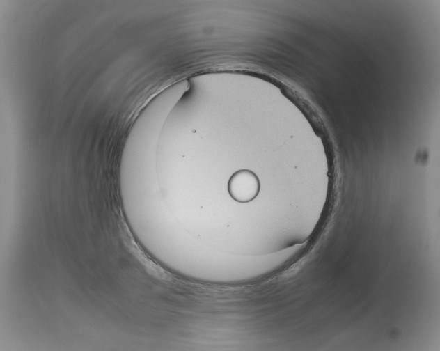 X0000112730897200910011154