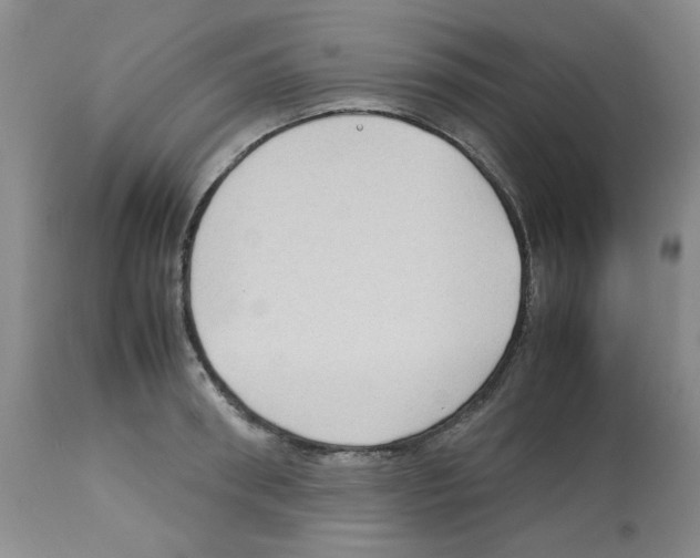 X0000112730898200910011154