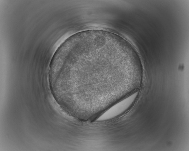 X0000112730899200910011154