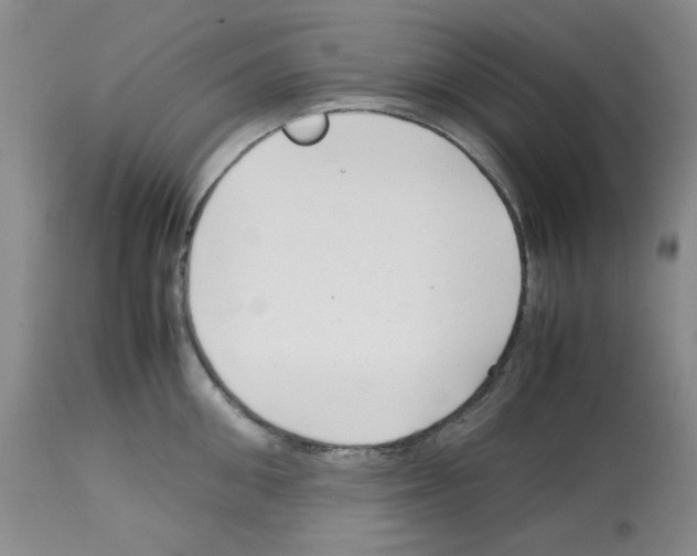 X0000112730906200910011154