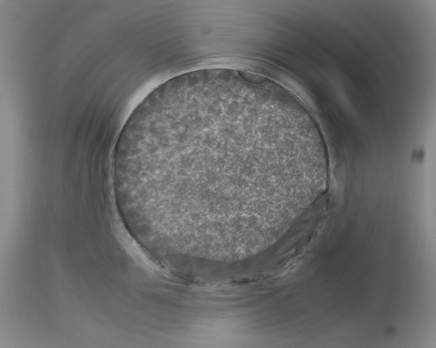 X0000112730907200910011154