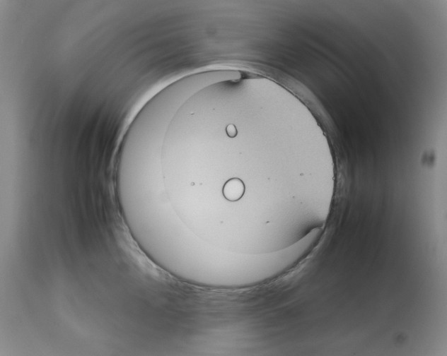 X0000112730908200910011154