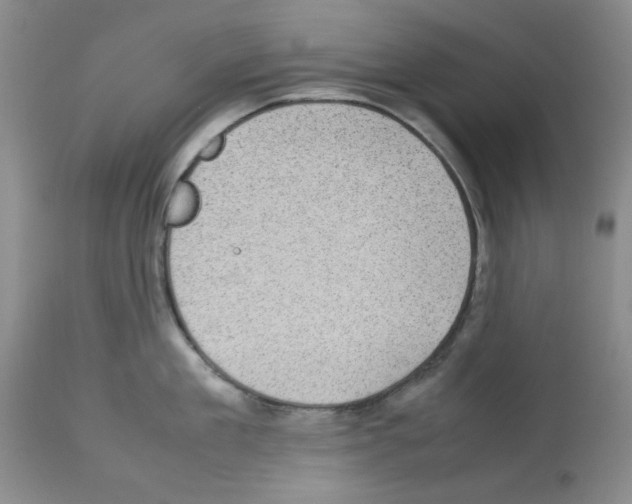 X0000112730909200910011153