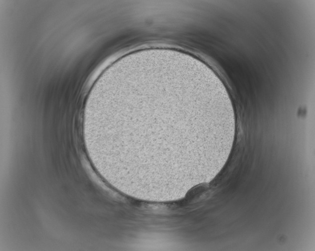 X0000112730911200910011153