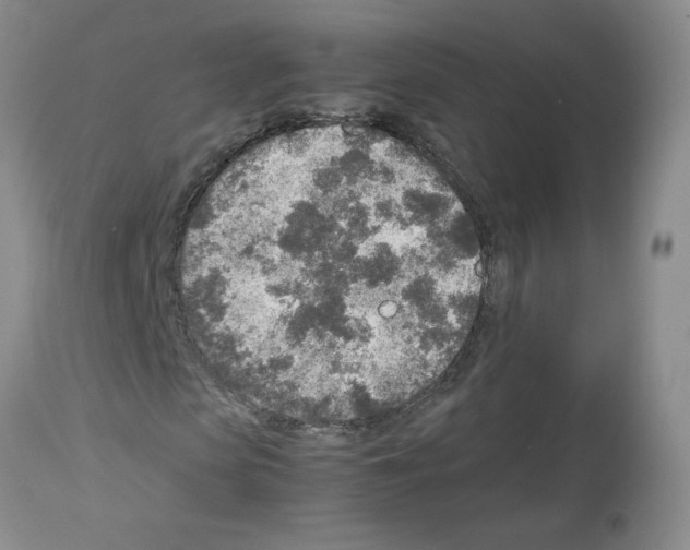 X0000112730913200910011152